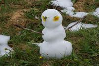 Wintereinbruch (3)