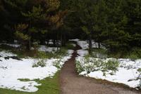 Wintereinbruch
