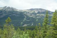 Yoho NP