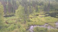 Zugfahrt Denali Star Gold Service von Anchorage nach Fairbanks