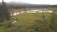 Zugfahrt Denali Star Gold Service von Anchorage nach Fairbanks