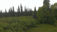 Zugfahrt Denali Star Gold Service von Anchorage nach Fairbanks