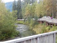 am Fish Creek