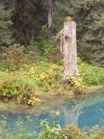 am Fish Creek