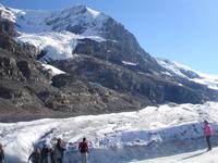auf dem Athabasca Gletscher in 2231 Meter Höhe 