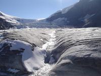 auf dem Athabasca Gletscher in 2231 Meter Höhe 