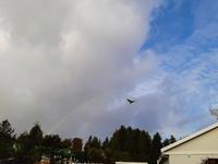 ein Regenbogen über unserem Hotel in Tofino