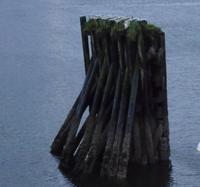 in Prince Rupert