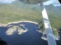 zurueck nach Tofino