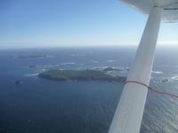 zurueck nach Tofino