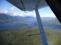 zurueck nach Tofino