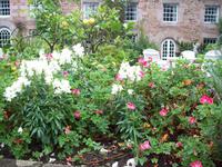  im Garten von Miss Bienie