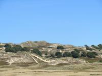 025_Sanddünen