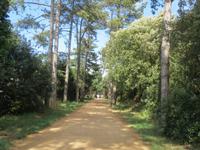 060_Corbiere Walk