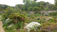 La Seugneurie Gardens Sark