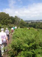 Beauport Bay Wanderung