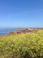 Insel Guernsey