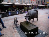 die schönsten Kühe der Welt vor dem Restaurant Atlantique