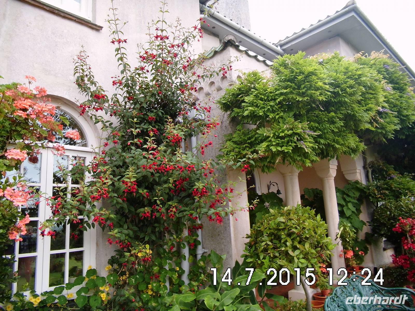 Rückseite von Mrs. Leas`s Wohnhaus