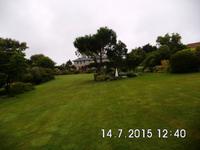 Bester Fußballrasen