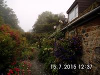 Cottage mit Garten auf Sark