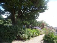 tropisches Flair auf Sark