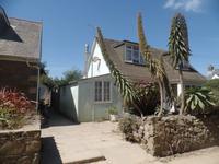 Englische Häuser, tropische Pflanzen