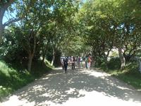 Auf Sark geht man am besten zu Fuß