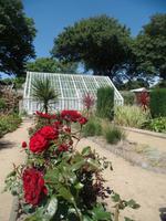 Rosen im Park der Seigneurie