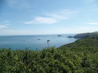 Meerblick auf Sark