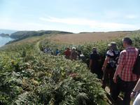 Küstenwanderung auf Sark