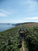 Küstenwanderung auf Sark