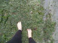 Anfangs dank der Algen eine glitschige Angelegenheit