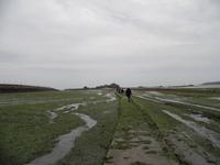 Fußweg zum Elisabeth Castle