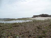 Elisabeth Castle auf Jersey bei Ebbe