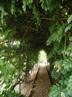 Im Anwesen Grey Gables