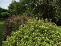 Grey Gables auf Jersey