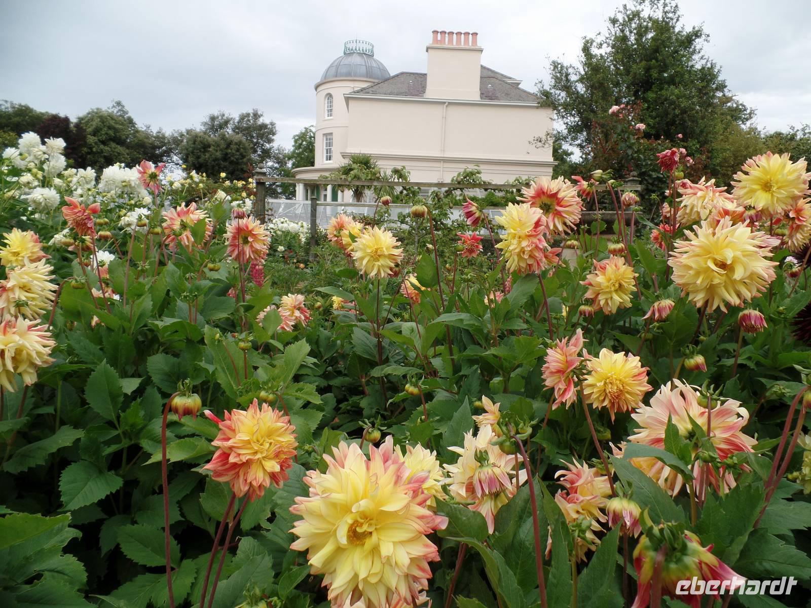 Seafield liegt in der St. Aubins Bay