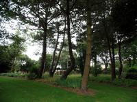 der Garten von Seafield