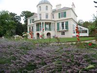 Seafield und Lavendel