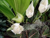 überall gibt es etwas zu entdecken