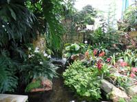 Orchid Foundation Jersey