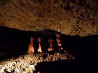 Kunstprojekt in La Hogue Bie