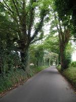 Green Lane - Allee auf Jersey