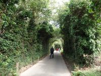 Unter den Obstbäumen entlang