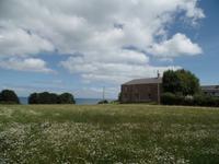 Wiese mit Meerblick - Jersey