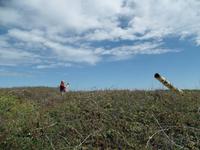 Dokumentation auf Guernsey