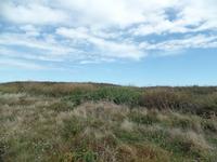 Blauer Himmel über rauem Land auf Guernsey