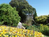 farbenfrohes Guernsey