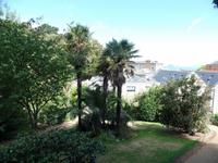 Blick auf St. Peter Port - und Palmen